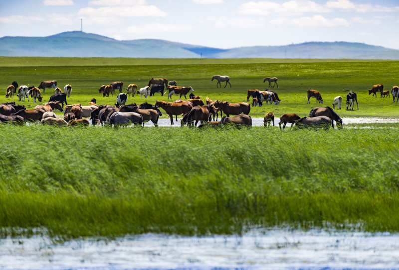 内蒙古，草原上的诗意人生之旅