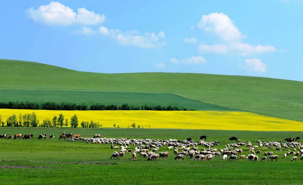 内蒙古,草原上的诗意人生之旅