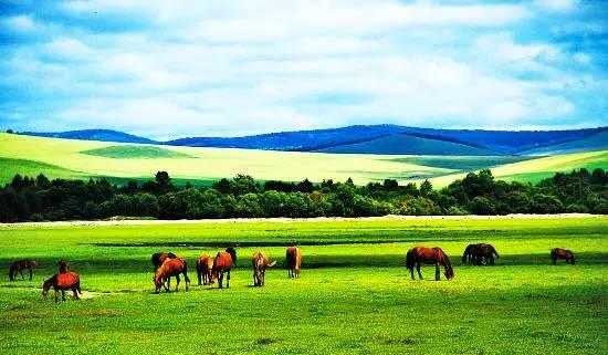 大草原秘境,内蒙古的自然魅力探秘之旅
