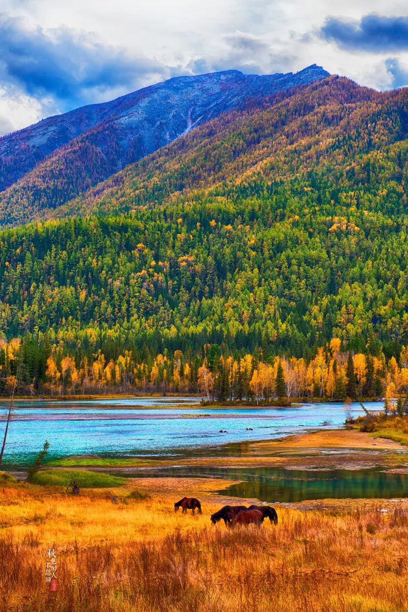 新疆深度游全攻略，初学者必备指南