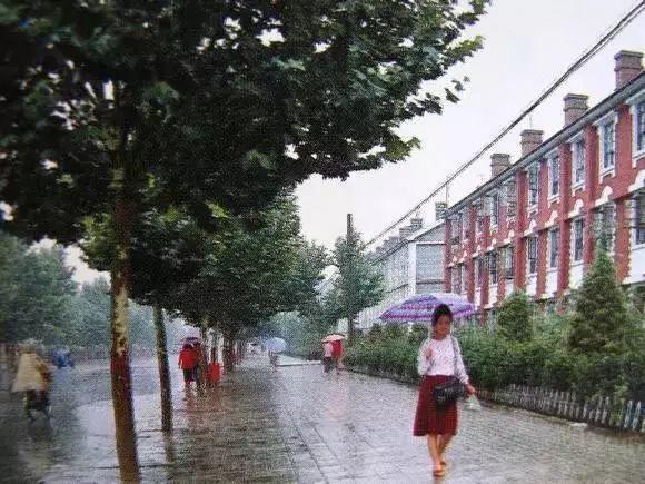 邯郸，致敬领导与市民，共筑美好家园