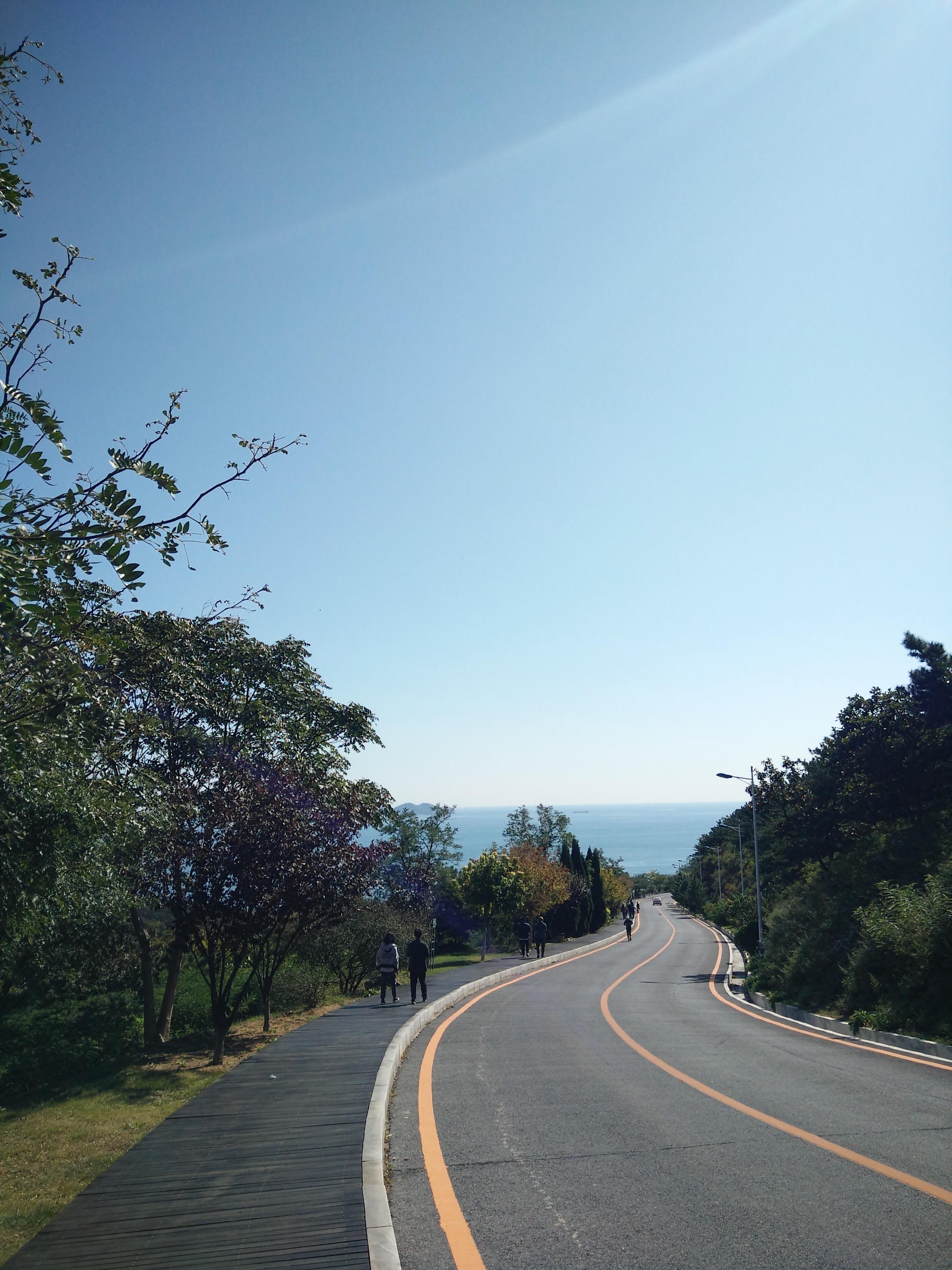 揭秘大连,活力之城的魅力无限